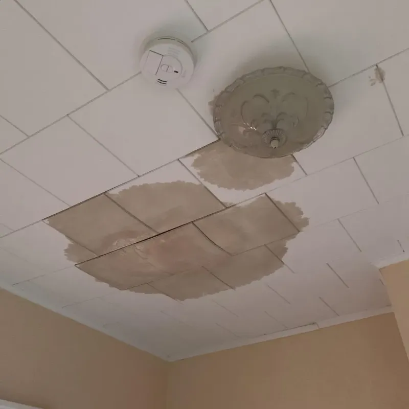 Ceiling Water Damage Repair in Piatt County, IL