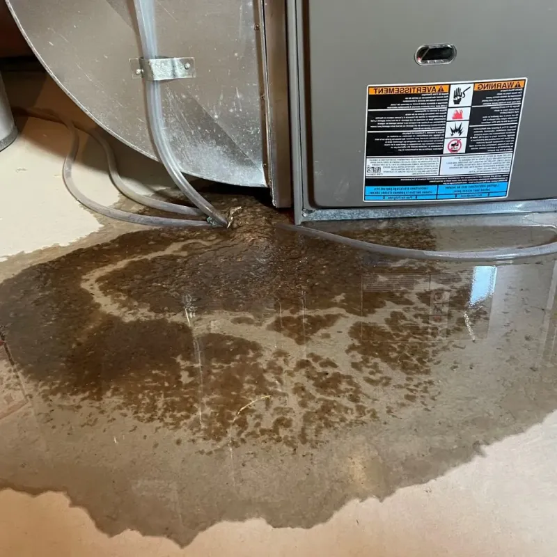 Pipe Burst and Leak Restoration in Piatt County, IL